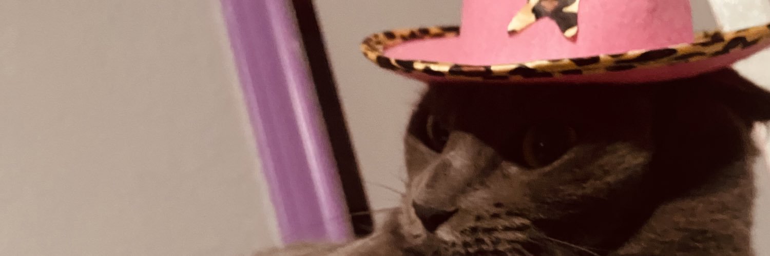 AlyssJimenez's profile banner image