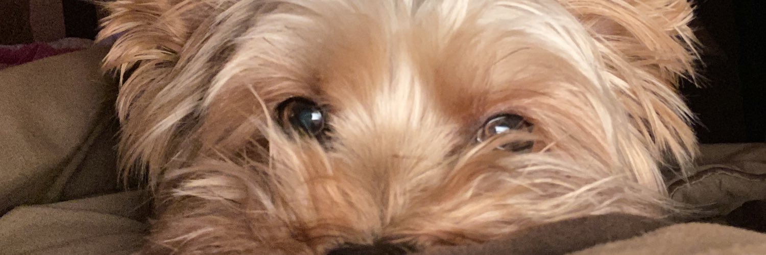 Samayyyyee's profile banner image