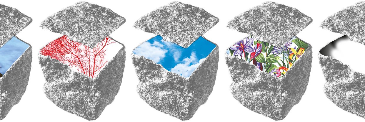 Sébastien Marchal banner