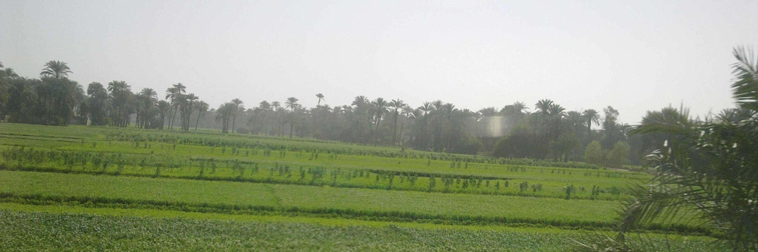 mostafamedhat's profile banner image