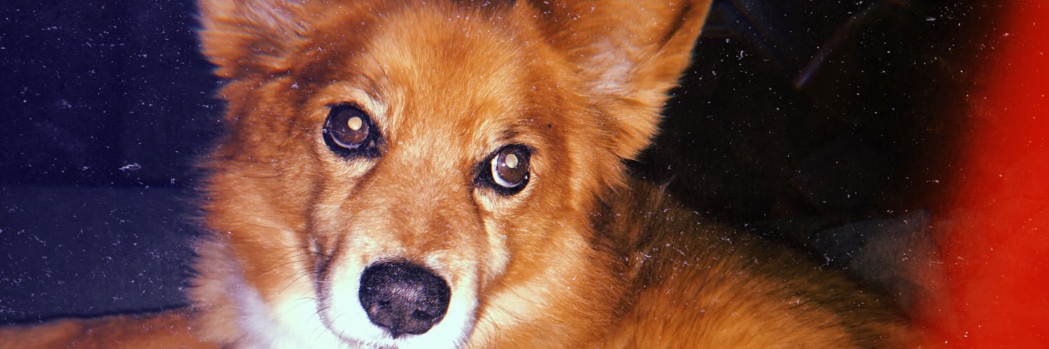 a_burch4's profile banner image
