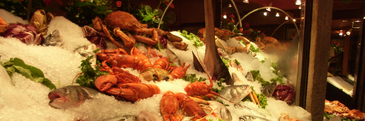U_crabman's profile banner image