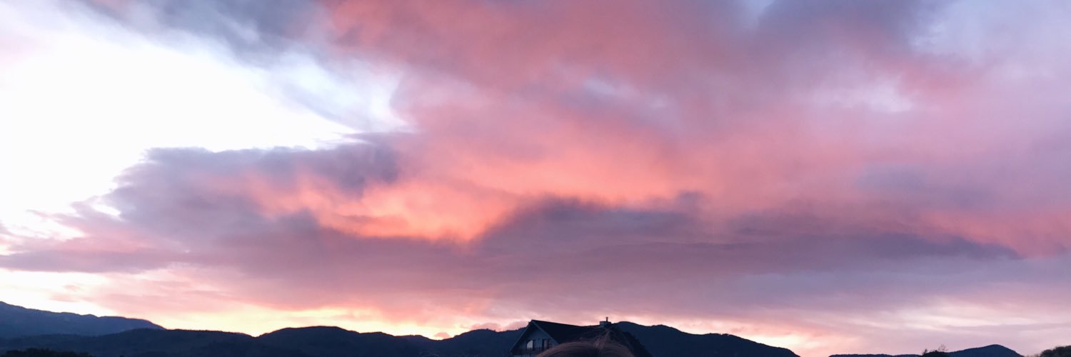anzoeller's profile banner image