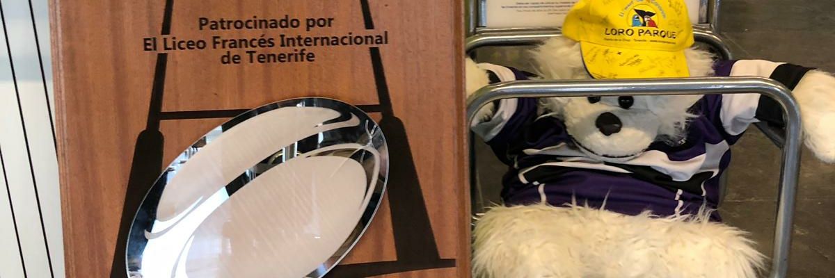 BoB_Elias's profile banner image