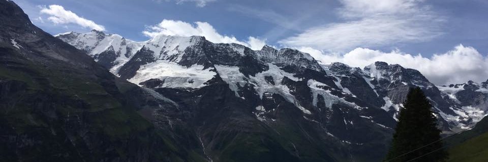Maya Zook banner