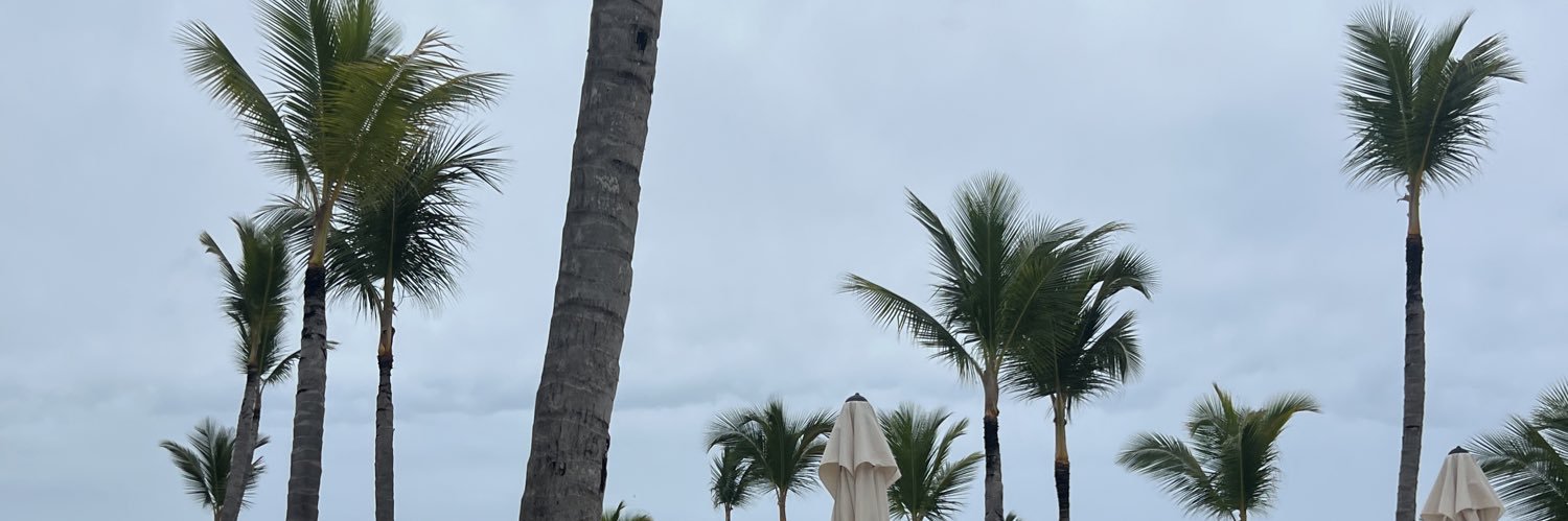 destinixo__'s profile banner image