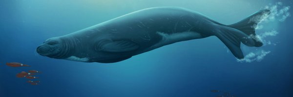 Palaeo_JRule Profile Banner