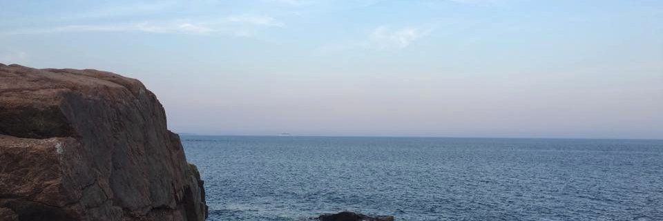 Talicka's profile banner image