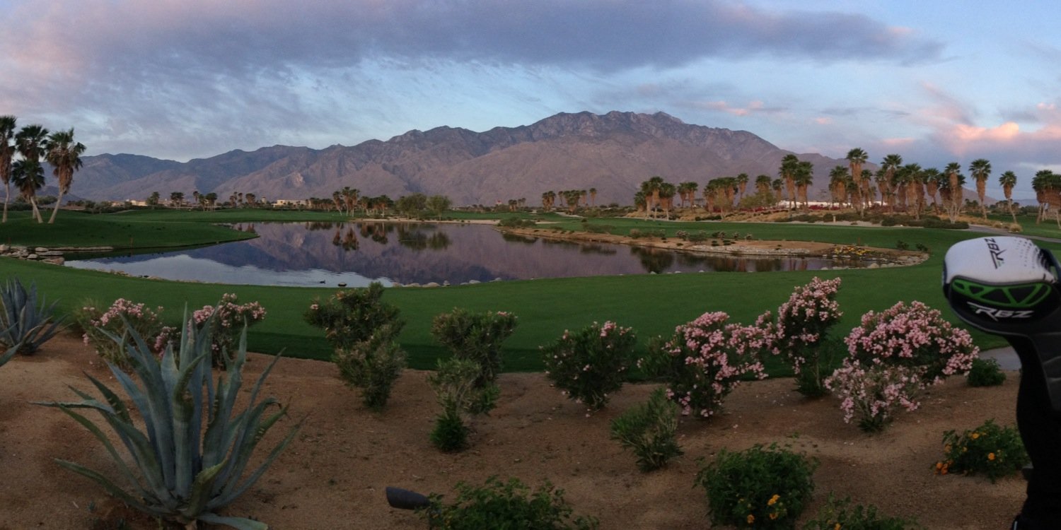 Cameron Wilson banner