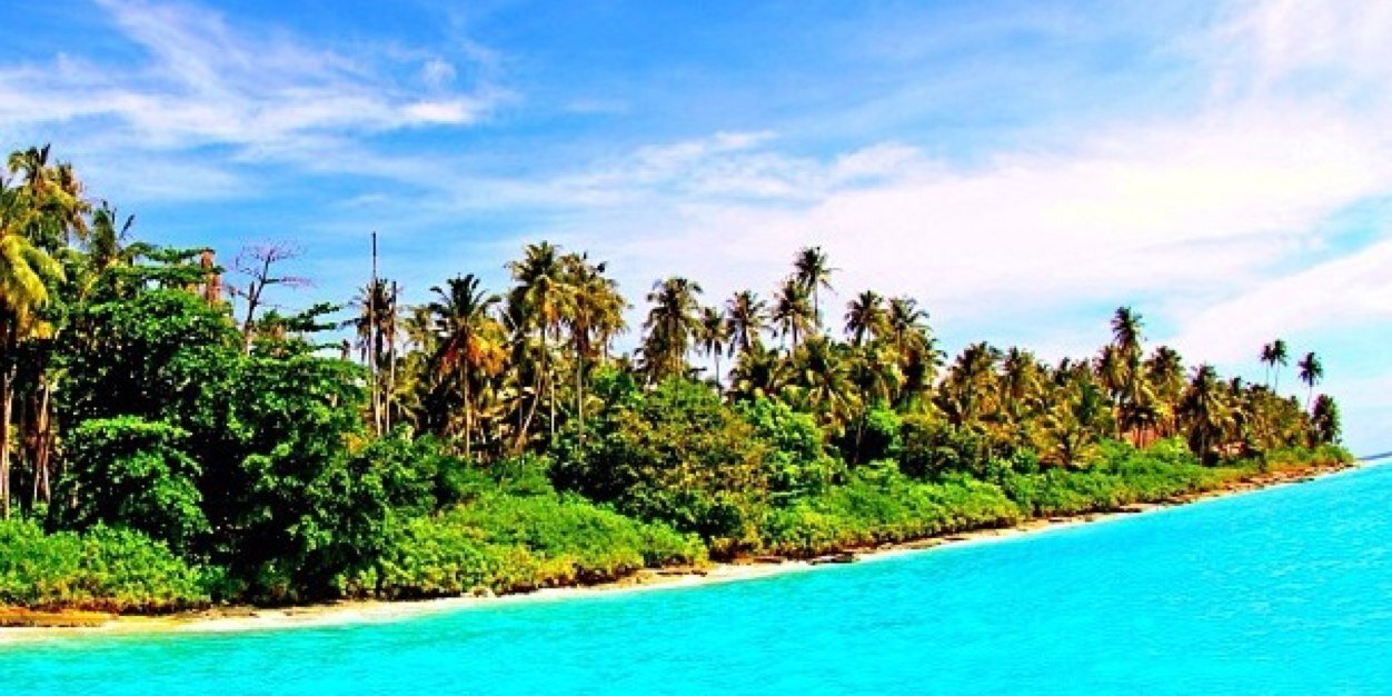 paristchong's profile banner image