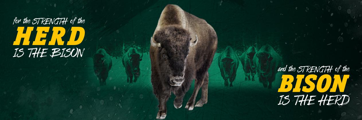 NDSU Athletics's banner