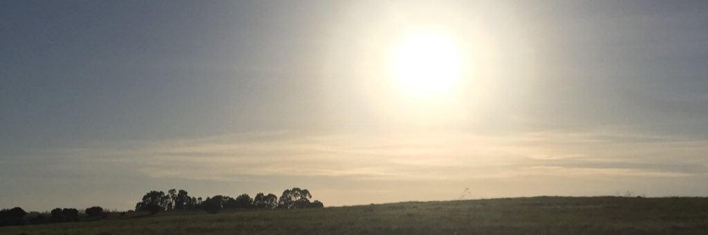 zepeduh's profile banner image