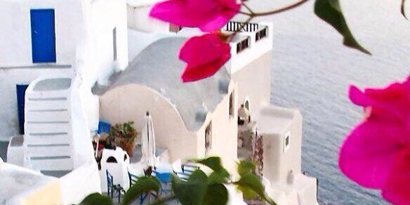 salsdorf's profile banner image