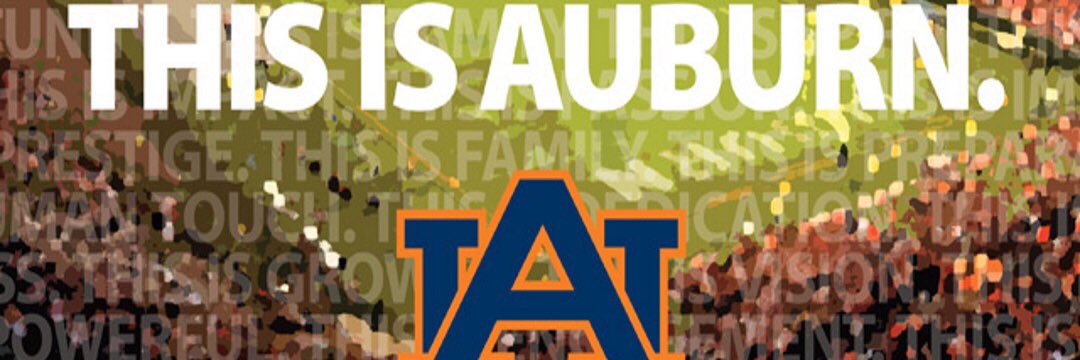 Andrew_Bayne_'s profile banner image