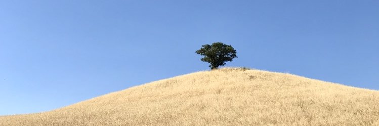 GarrettBethel's profile banner image