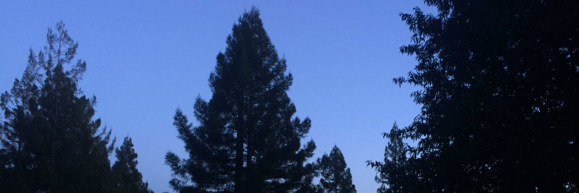 dmckenty's profile banner image
