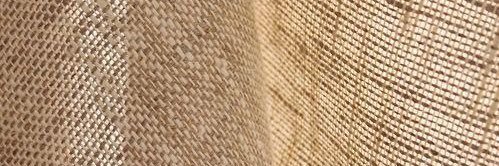 rachh_M's profile banner image