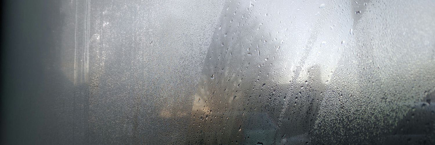 Basia Mindewicz banner