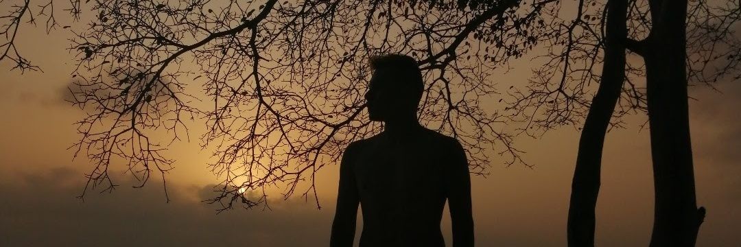 wild320's profile banner image