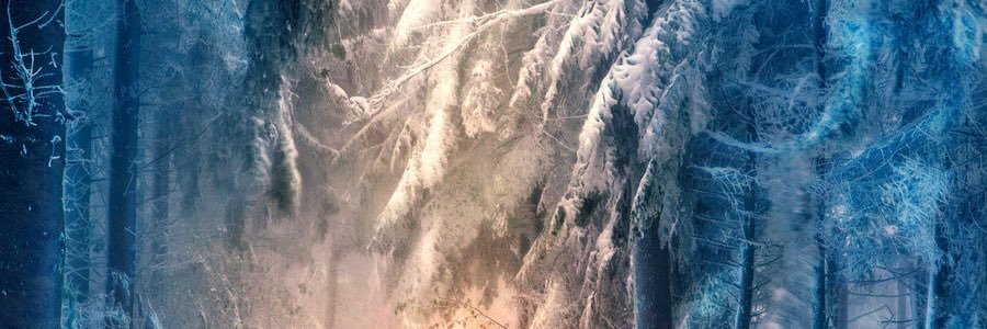 naski68's profile banner image