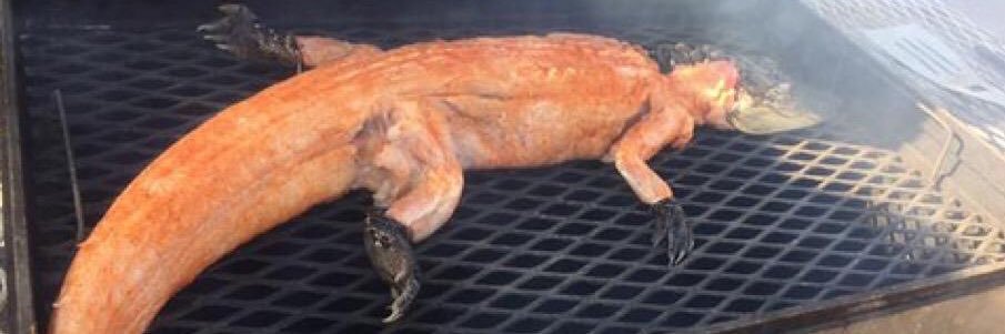 lsuboy420's profile banner image