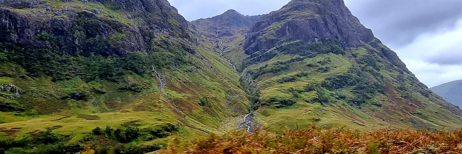 Fee Laming 🦒🔜Bahhh Humbug Day banner