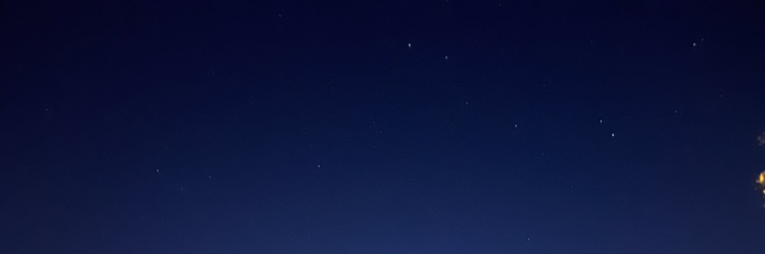 fernandaortca's profile banner image