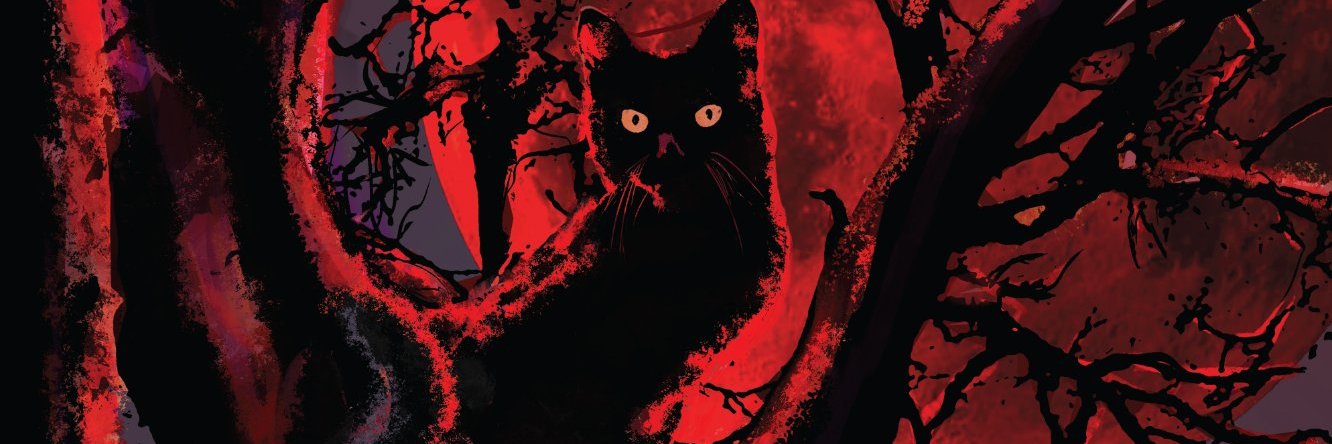 Storm King Comics banner