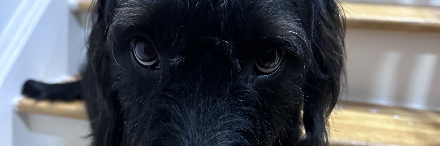 n33_bb's profile banner image