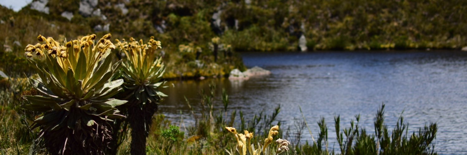 Lorena8906's profile banner image