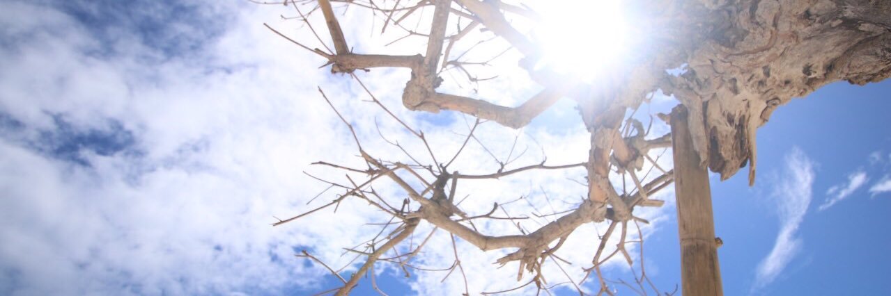 fachrimuhmmd's profile banner image