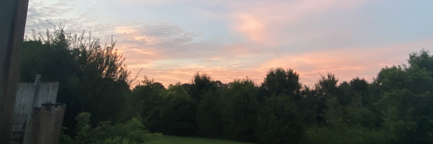 colleendwilson's profile banner image