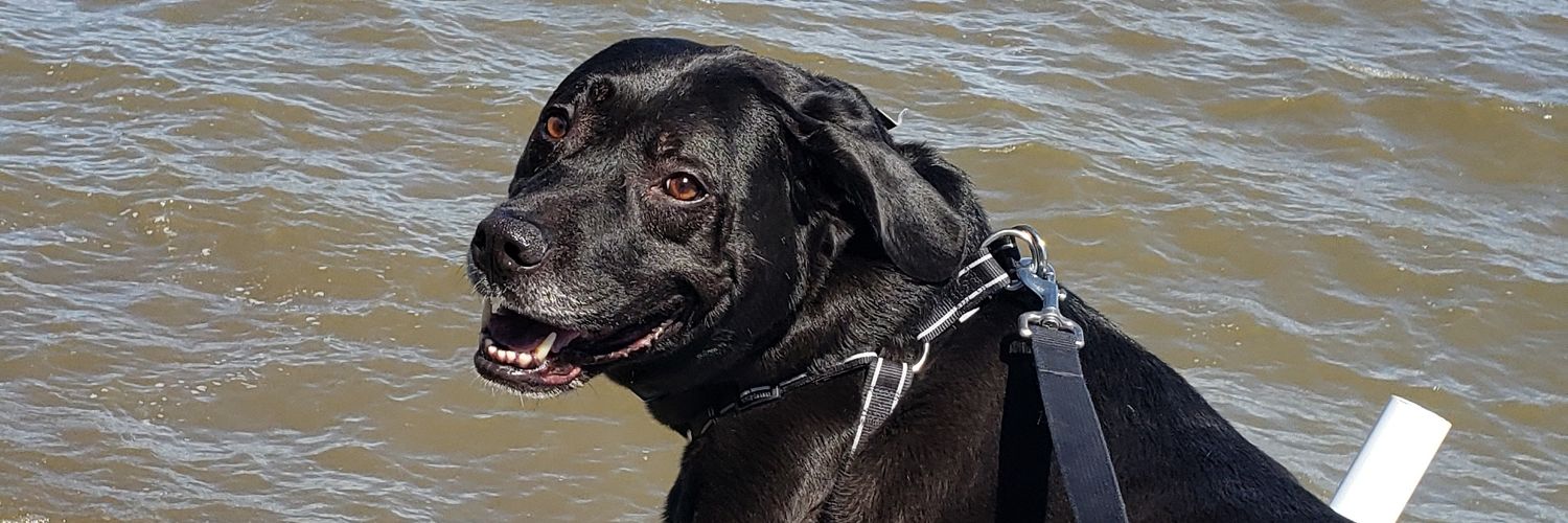 Heather Crowder banner