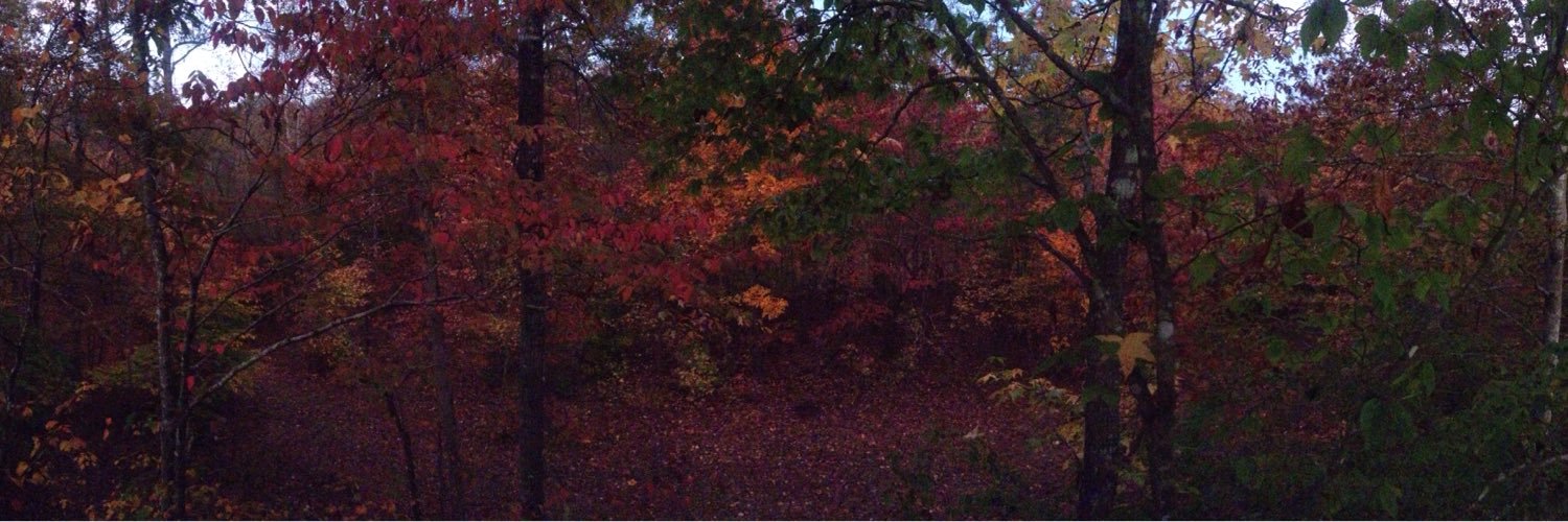 Tyler_Smith329's profile banner image