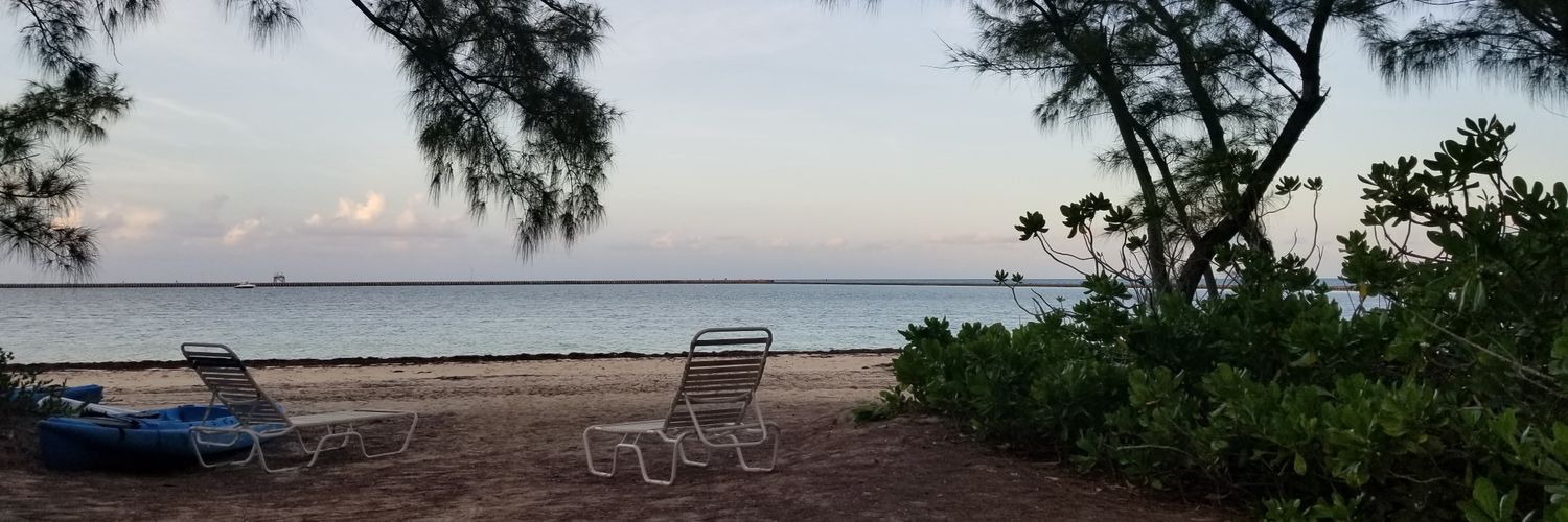 austin_rhea's profile banner image