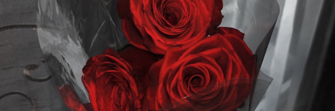 SaditySagg's profile banner image