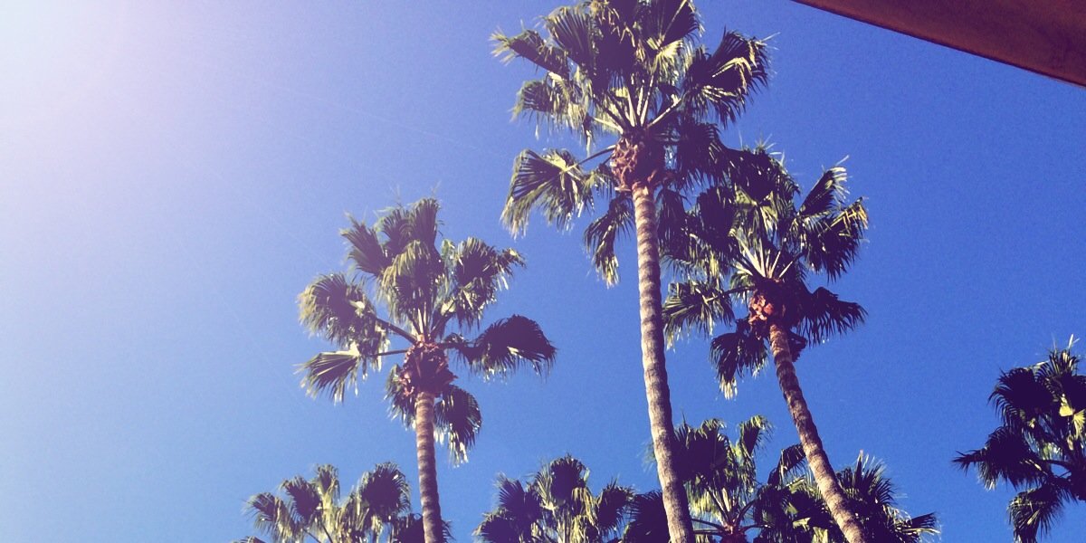 alisamesa's profile banner image