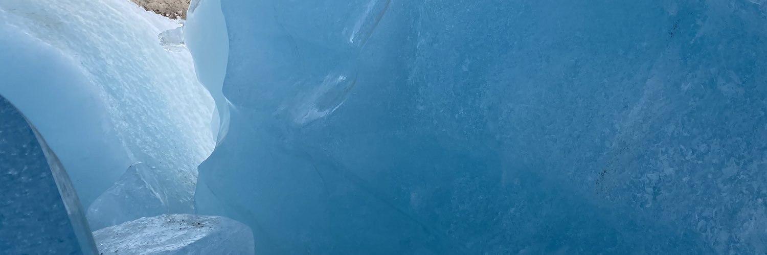 anyweili's profile banner image
