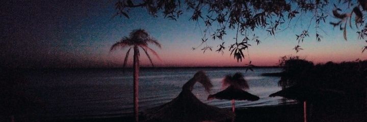 Lauri14Castro's profile banner image