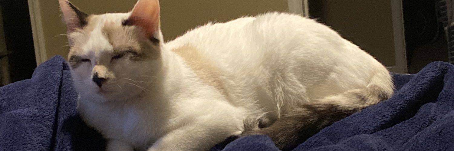 LukenotASchip's profile banner image