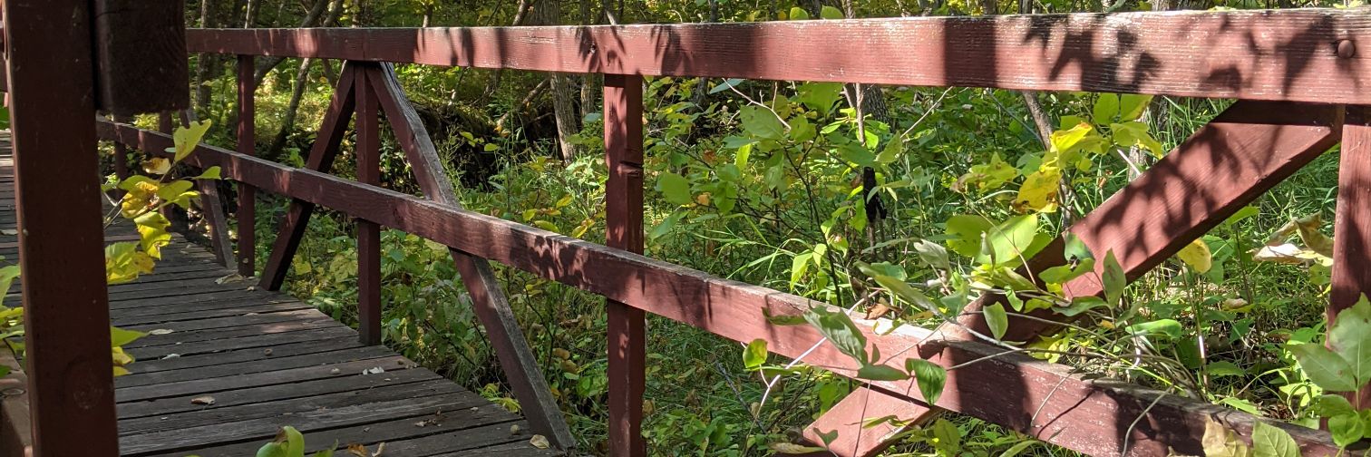 fffrannypack's profile banner image
