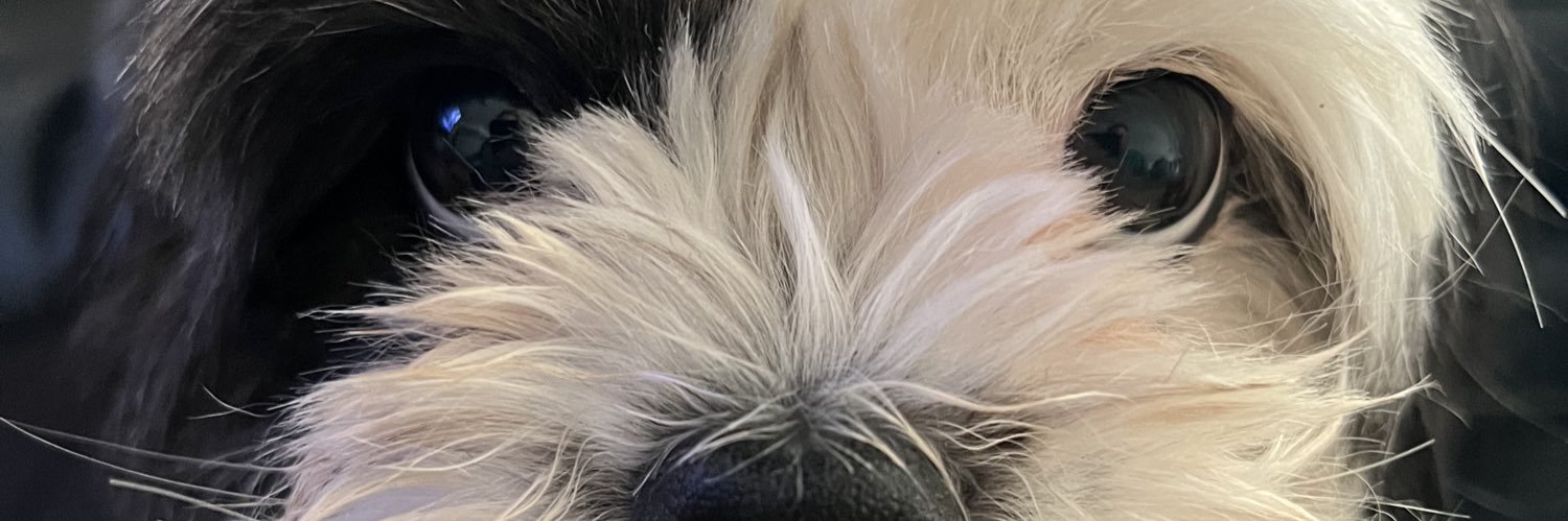 itsinthahole's profile banner image