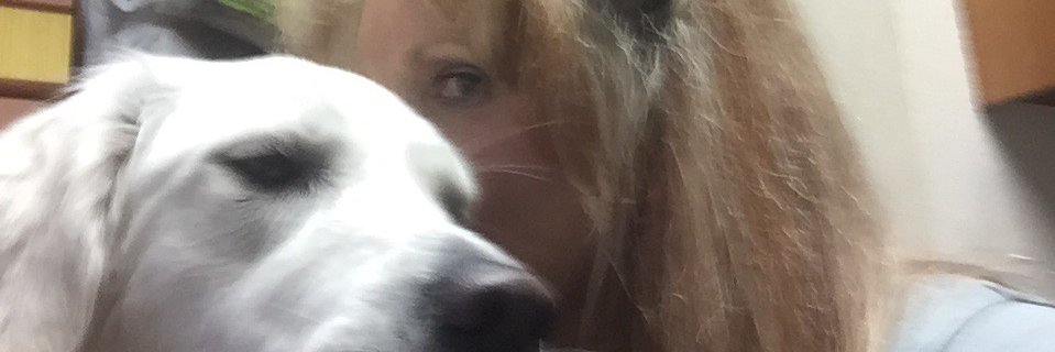 RankinVirginia's profile banner image