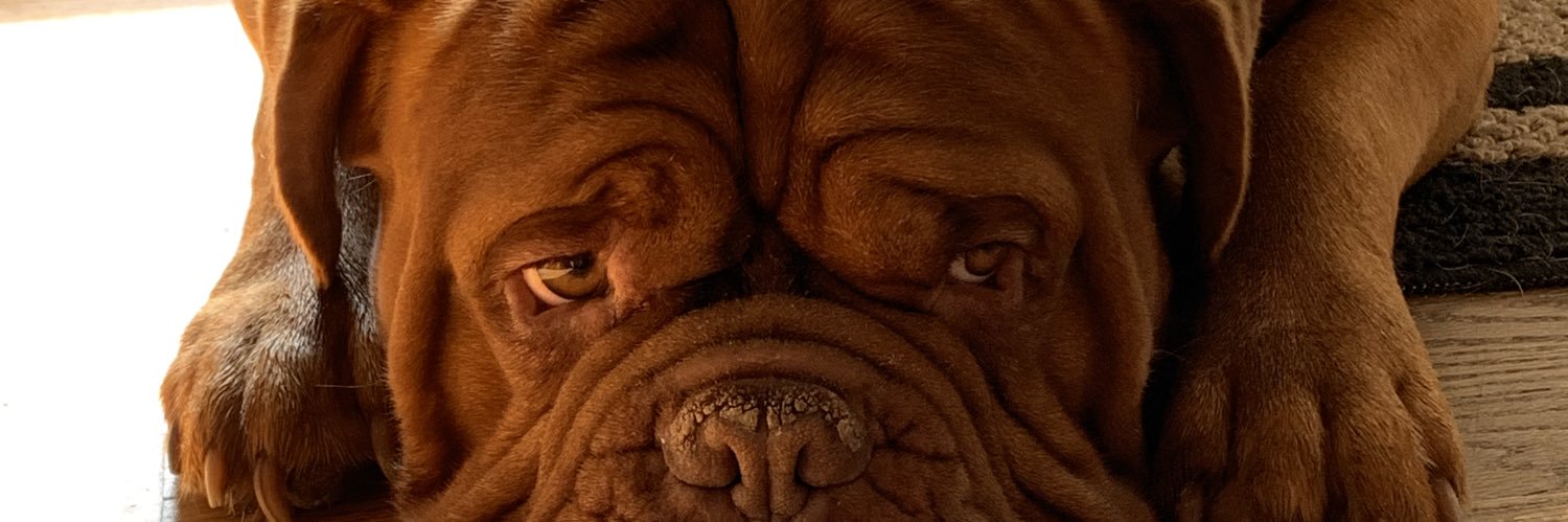 LDagnello's profile banner image