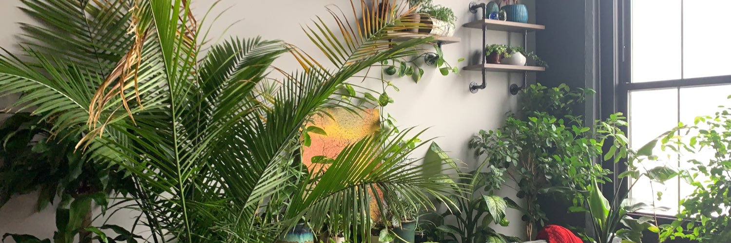 Melanistic Monae banner