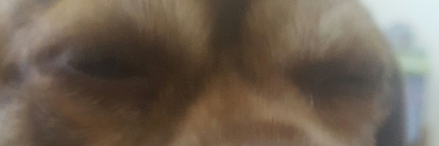 shanzman1's profile banner image