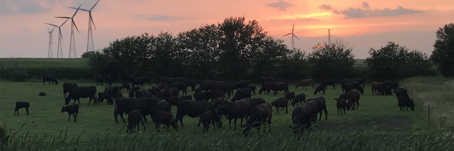 Adam Pedersen banner