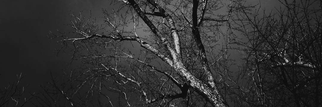 Todd_Brammer's profile banner image