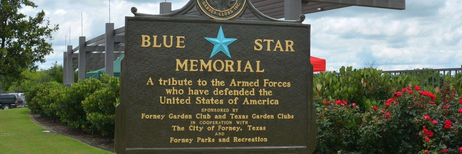 BlueStar_USA's profile banner image