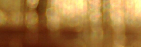 ookumayuusuke Profile Banner